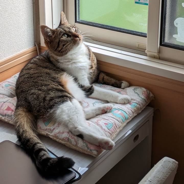 1ed4a2fc 28fc 44a3 9f01 d05c1739df01 1695078868934