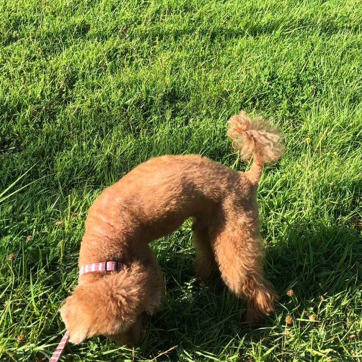 1ed4a8fd 86db 481f 8962 3b27aeaedb54 1597970389877