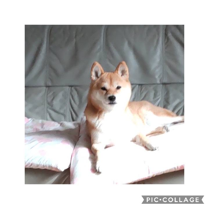 1ed4b659 271a 448c 9cea 1311e8b5953f 1668468486573