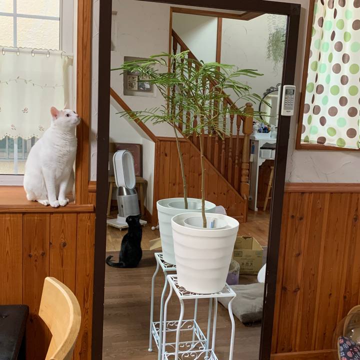 1ed5006e 4893 4c69 9676 1da21a5e366e 1651698420662