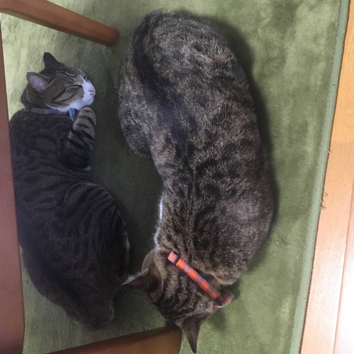 1ed50986 3d41 4ac1 9d16 00b4e508c43f 1702276068043