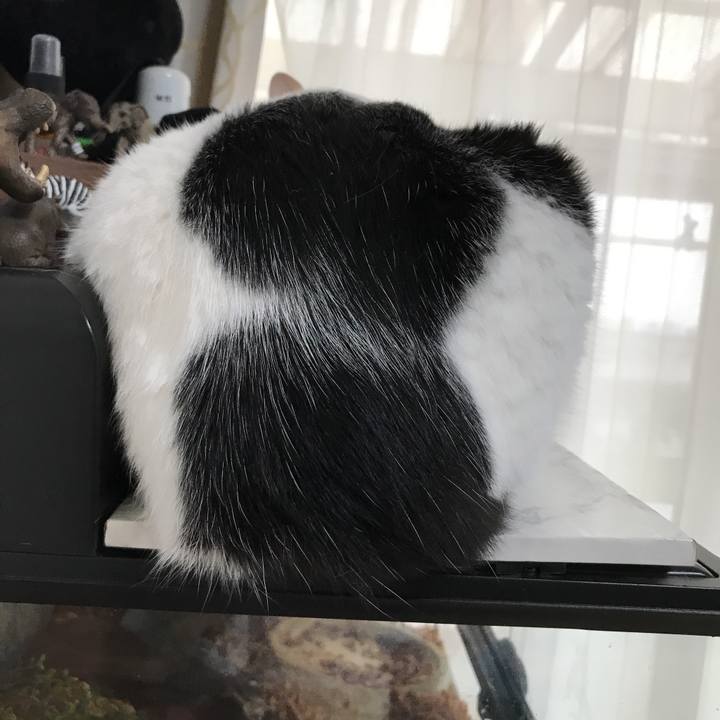 1ed54ad0 9ae2 4d62 adf3 7d6a6d7c74e7 1529560314496