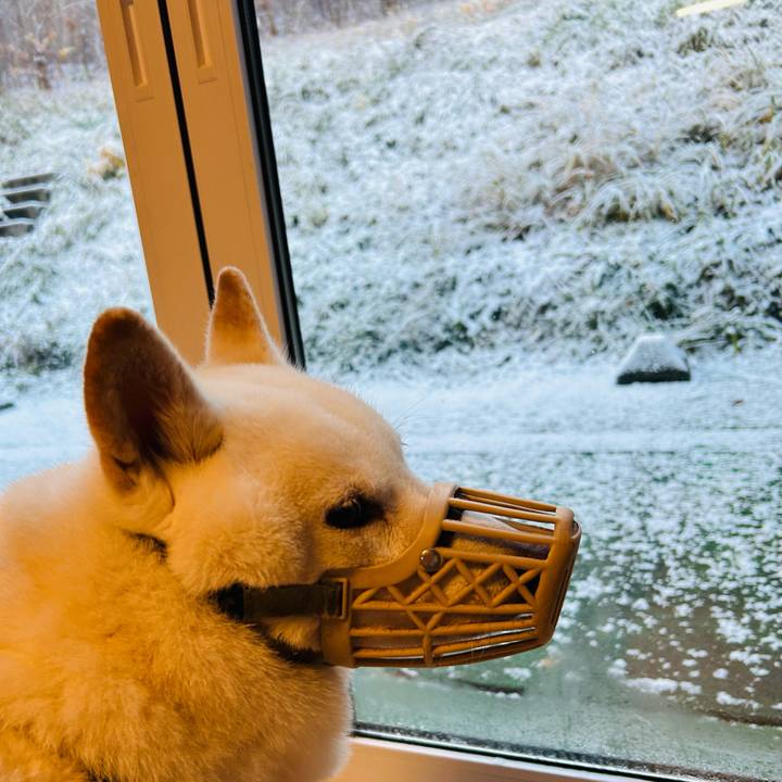 1ed58cc3 3d2d 4f4f 99c0 89088aef5f93 1699654140176