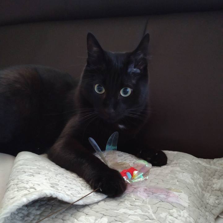 1ed59593 8320 4425 9d2e a243ffc050fc 1632525321238