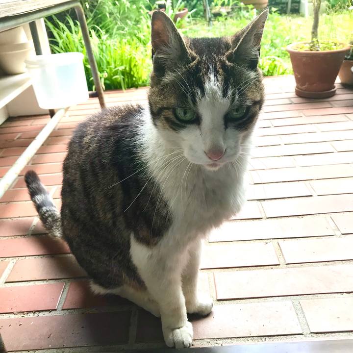 1ed5c74e b005 45af a387 2a46e6ce288d 1619083897906