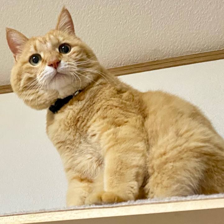 1ed5d9e9 eaa2 440a a6f4 b9d2f1f0c759 1742551016745