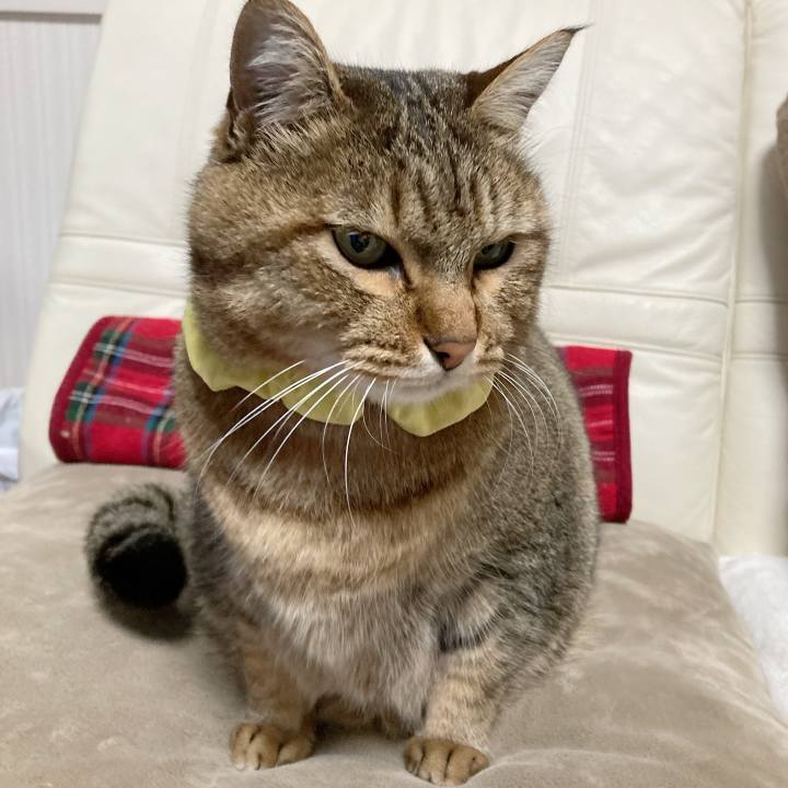 1ed5fff9 70fb 4d11 934d 74d59210f756 1638705363921