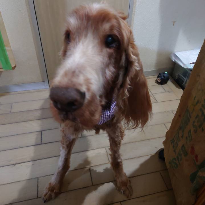 1ed60b38 f390 4fd0 a6dd bc693f0653b8 1745844335880