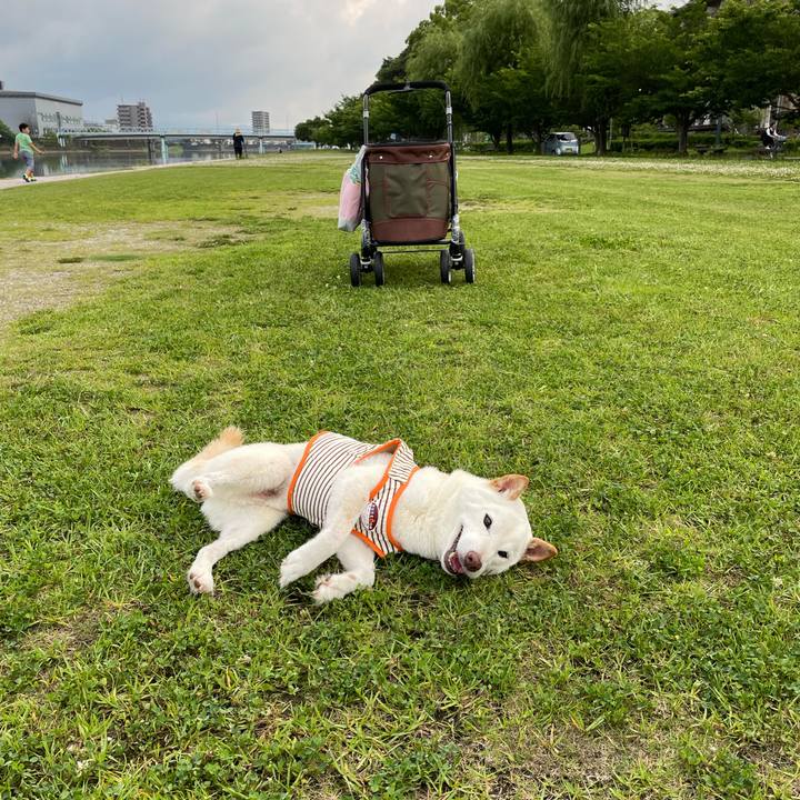 1ed60be7 18de 41d0 95b5 0e84fe10d67f 1655371382315