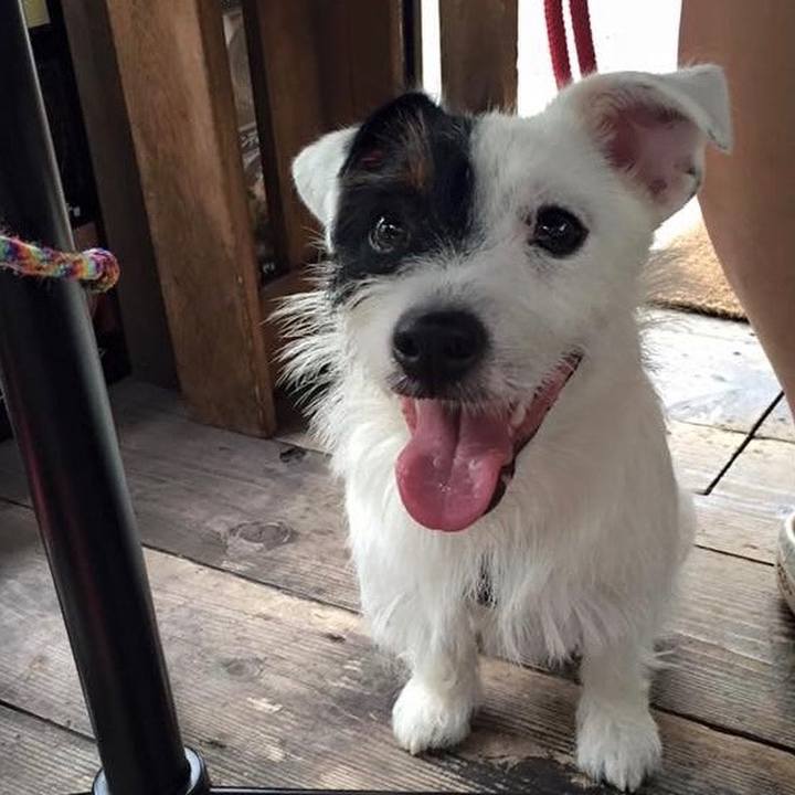 1ed623d5 9638 4e9b bb89 83c83256b6a0 1548207333298