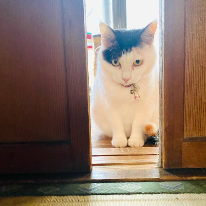 1ed6353d f952 4cd3 8f41 defe7d2b06d5 1748777214006