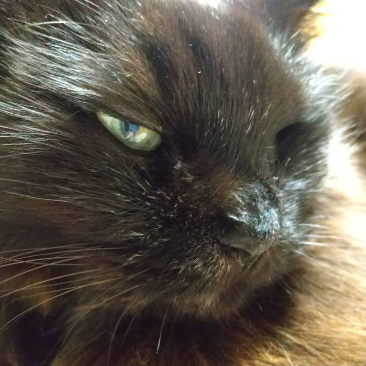 1ed65565 d933 4835 8403 411a4a1a1155 1672830228672