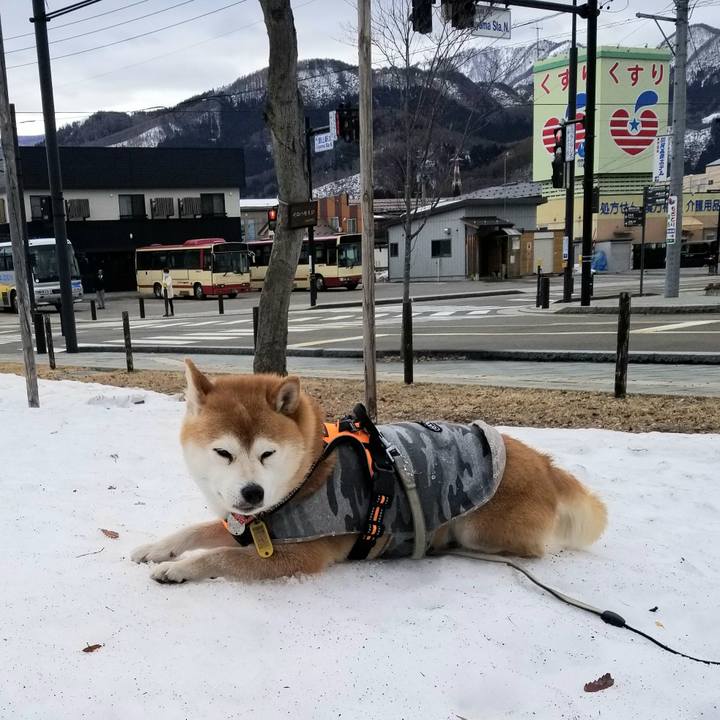 1ed673fd 1551 4b00 a5eb 550f5b7e61e8 1614648280942