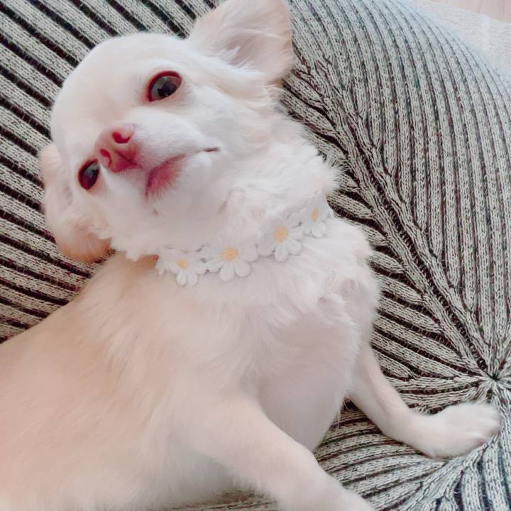 1ed67969 08e8 424c b8bf 0155e3cae262 1694867455718