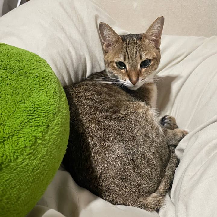 1ed6d530 8d7c 4c74 833c 8a0d3b878ce3 1703594825585