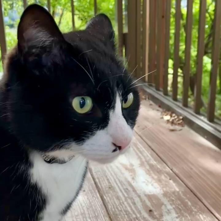 1ed71b3b c912 44e8 a449 3f5f4f0d8682 1743386193879