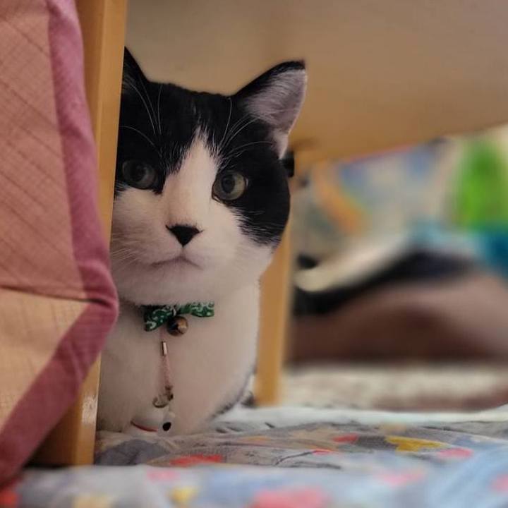 1ed7463f 1998 49f0 84fe 9cb6bc33d75a 1645482025170