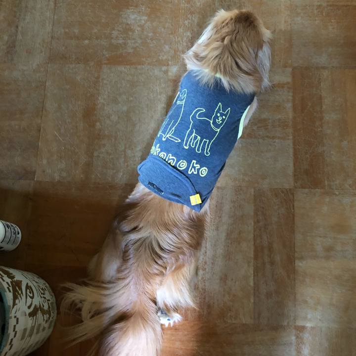 1ed7879f 258e 4c59 9d3c 333c2b3d4bd5 1526729270669