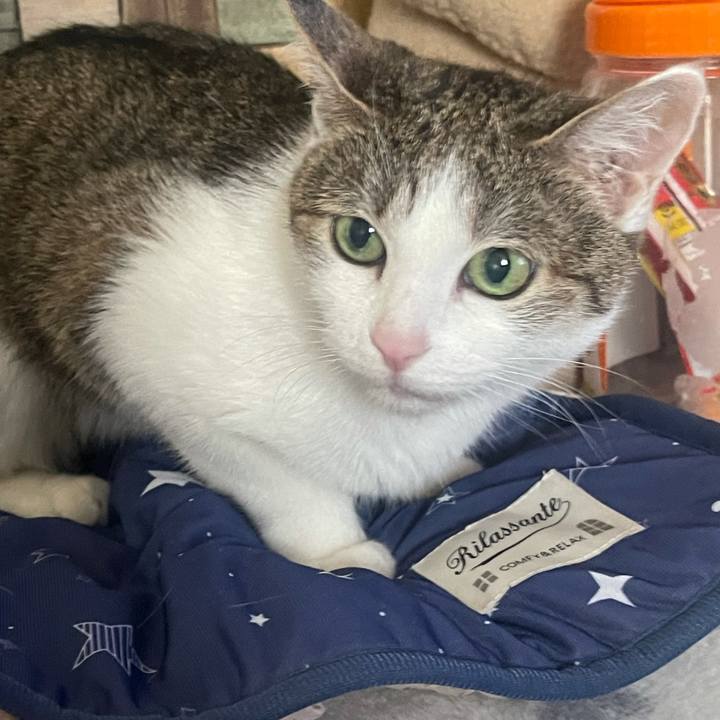 1ed7ac60 0000 4414 8e71 533cc4d4ff4c 1624342731587