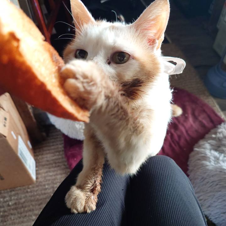 1ed7c620 6b97 4616 99e6 0cb8f4b70f33 1763284206976