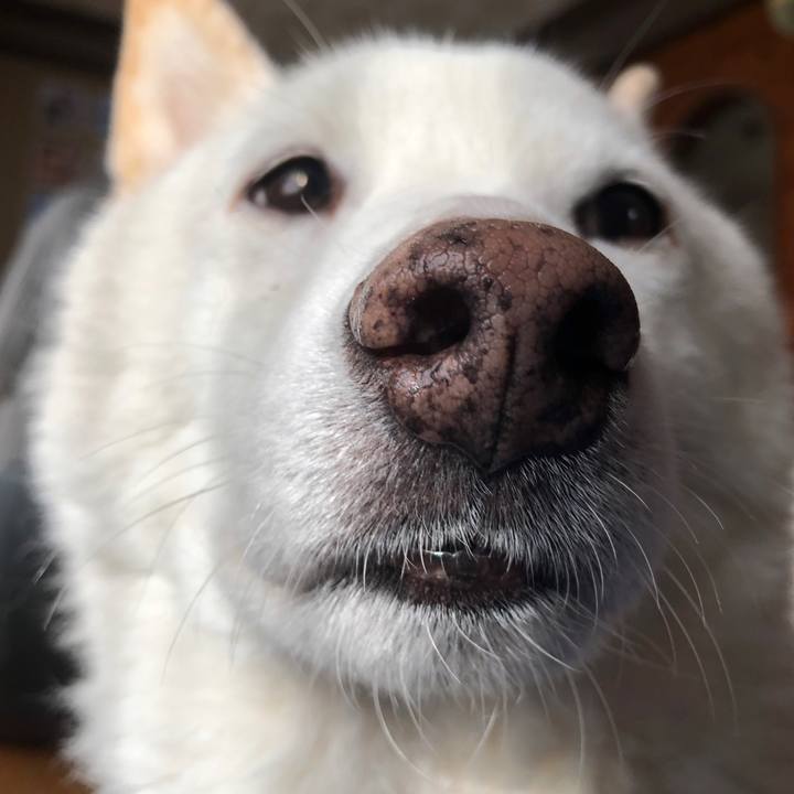 1ed7d765 4338 4a37 abc7 fc1f4c2146c8 1739587192742