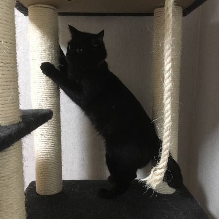 1ed7fcfd 48eb 462b baa5 e2073cc87db6 1534477397654