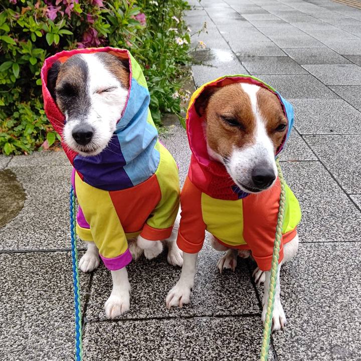 1ed806ed 370c 4a56 9d4d ef2ee9346811 1652483695805