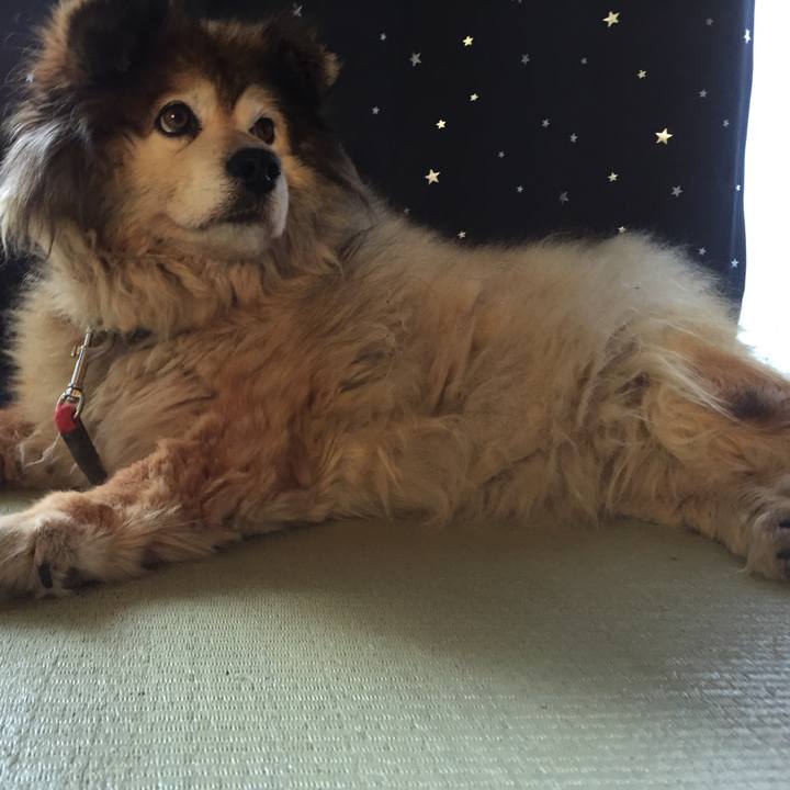 1ed812a2 6497 4521 93b3 c3032e9feefa 1552126005306