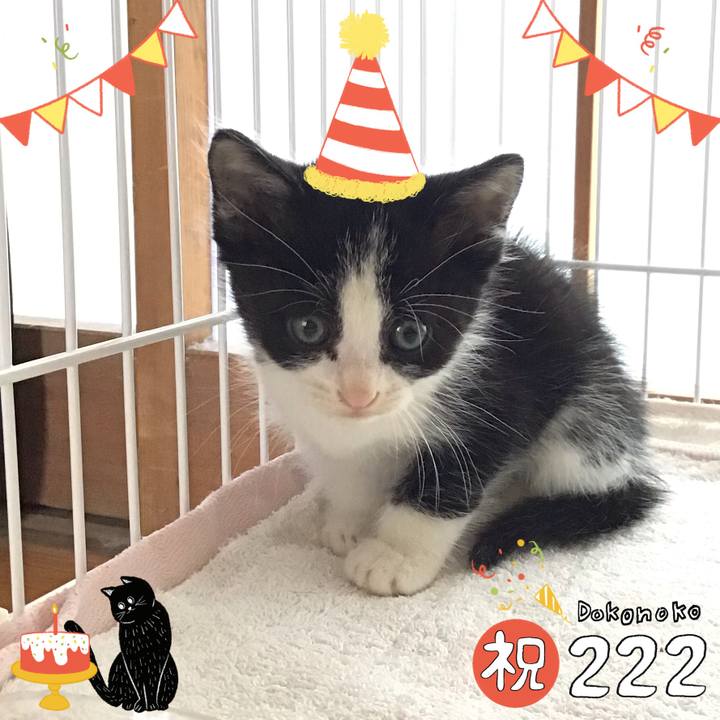 1ed829ea cb75 4e0a 8253 8feee295f910 1645492926968