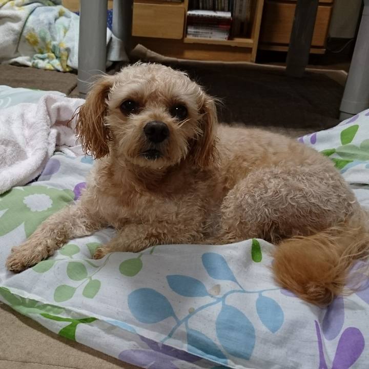 1ed85cf4 439d 479a a3f6 58bc423853fa 1596885693919