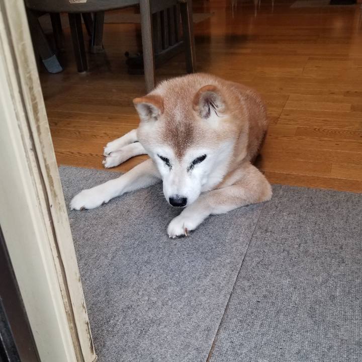 1ed891e5 ceb3 45a6 a1cd f5b4c0cc5f1e 1759641057777