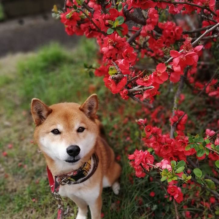 1ed8bdf2 44a7 444b 9789 dcfa1663a788 1616378758159