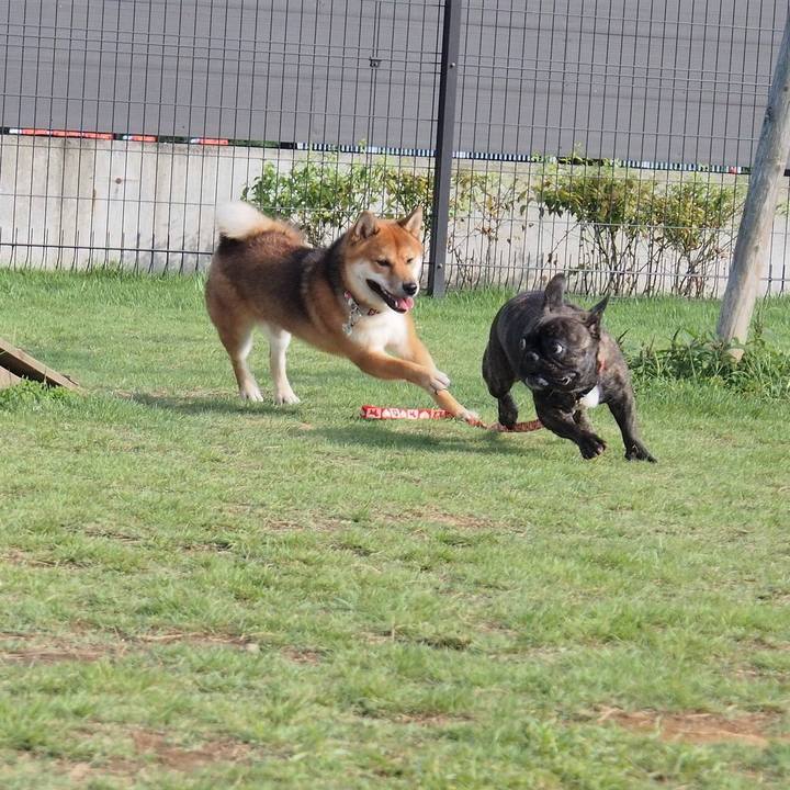 1ed8be92 c408 4821 9108 6be933d3b19c 1512262849101