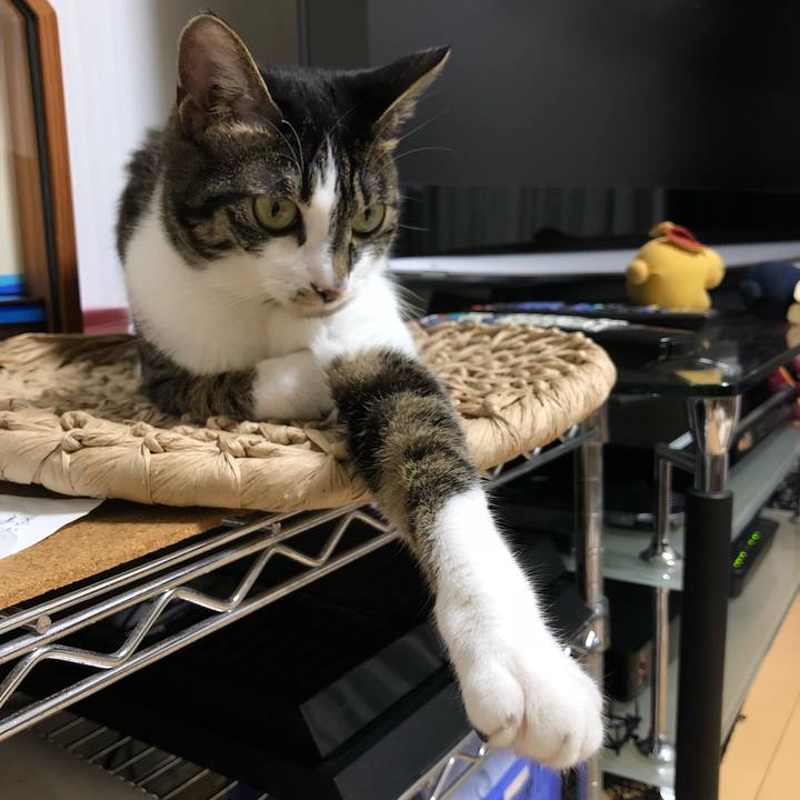 1ed8cc7b 8467 4911 9a24 1294794bc2cc 1529412822621