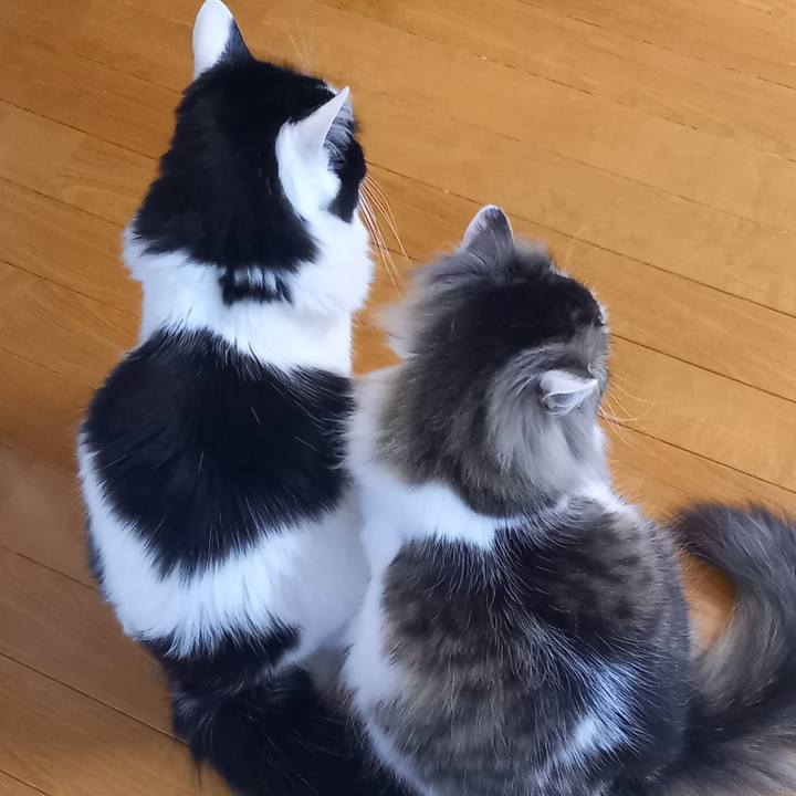 1ed8cf67 34a8 4260 bf32 50740910da82 1648335743386