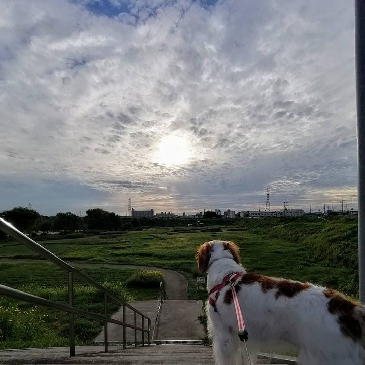 1ed8e1c0 b14f 47b5 9c44 90f7e1152900 1630841528733