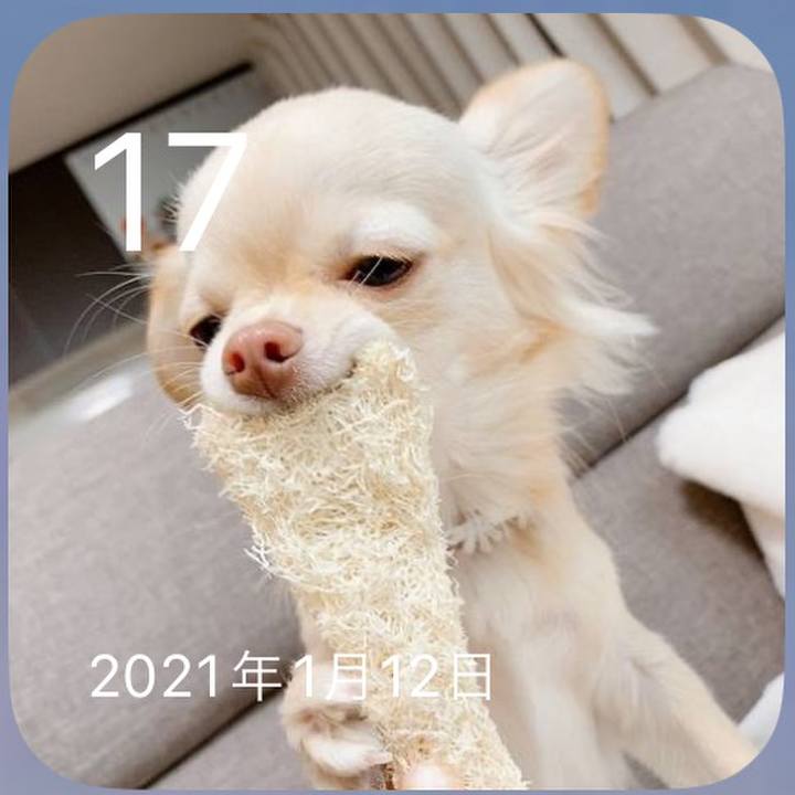 1ed8e6a4 6f1b 4f52 9f4b 99a7ab70bd91 1673949821027