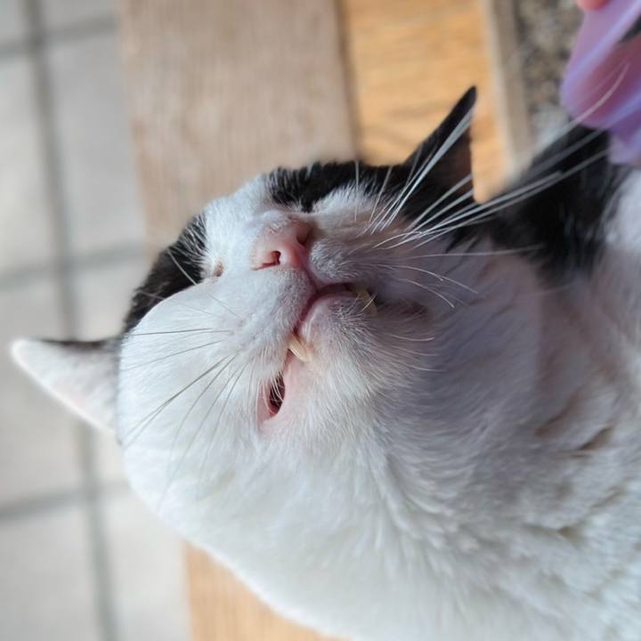 1ed8e707 e028 49ce b81a 9d5ce60957a9 1723510624031