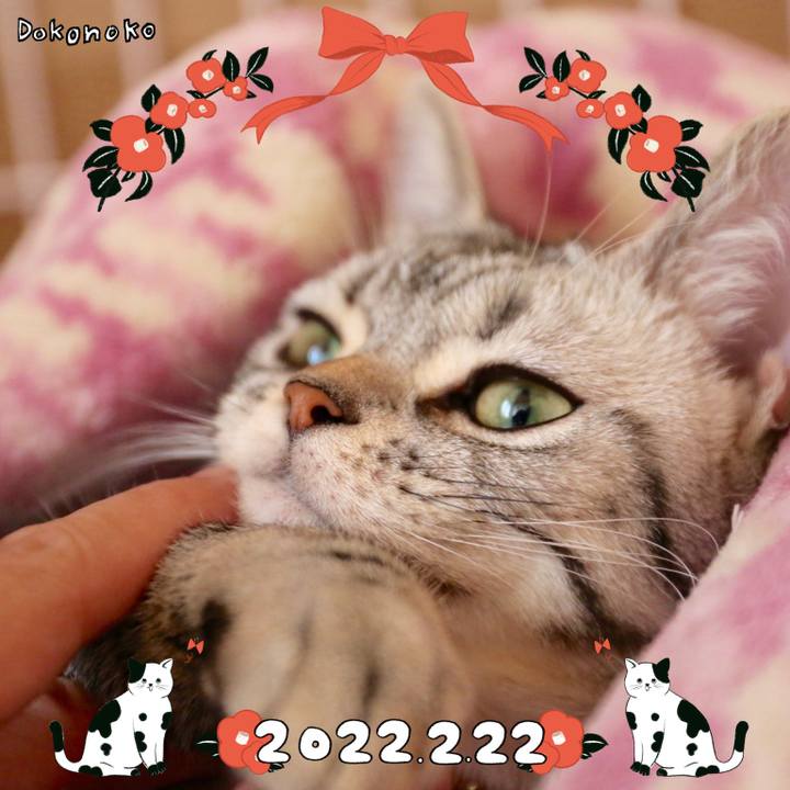 1ed919cc f4d6 4d99 b6c0 b15837d2d867 1645513561591