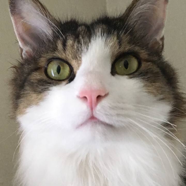 1ed92997 079e 4bf3 9290 a7ddc4edff78 1561804773651