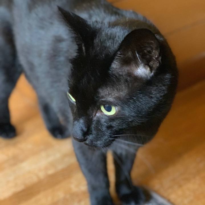 1ed956c0 636a 4708 aa05 7fdb1ba2d64b 1558747159113