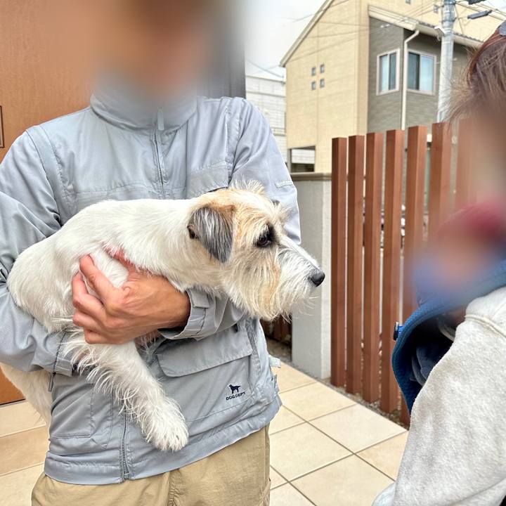 1ed956f6 eeee 428b bca9 02a380984920 1699706522711