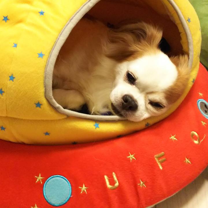 1ed95e2a c0c9 4cdf afde 289e2aa9840f 1537537320066