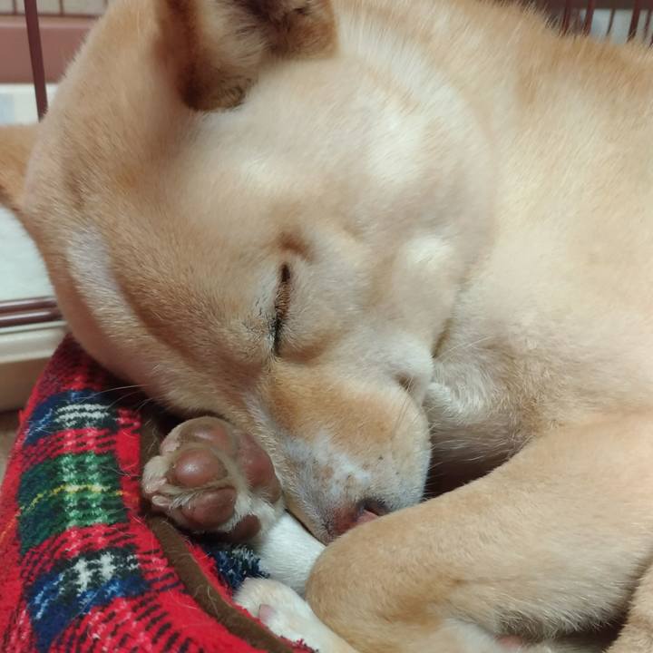 1ed985d7 b46d 4c71 9df0 a50f7d568388 1519128721800