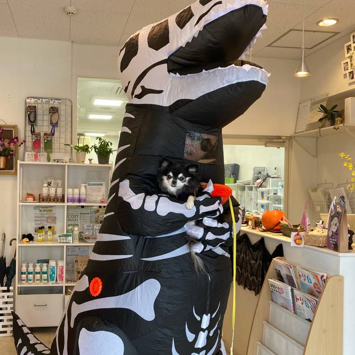 1ed99132 947f 4540 a7b3 ea51532b5f31 1761901712863