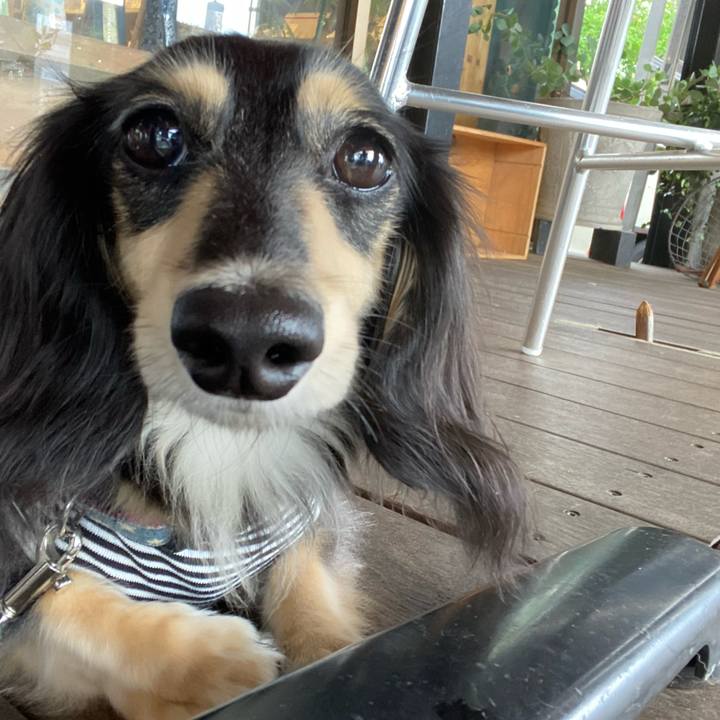 1eda128c 47c1 4015 b58a 27e513e8f122 1752700620996