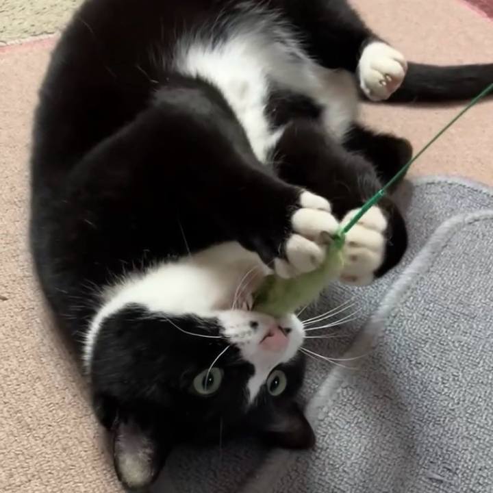 1eda3b21 6f92 4785 b33f c2b8720ef163 1740622027964