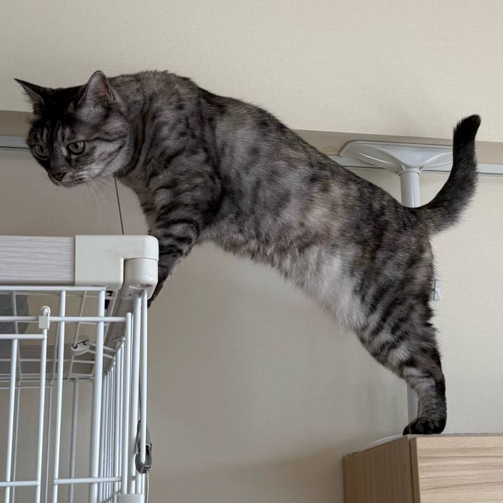 1eda4a4e 0d43 4433 8670 f61e991a5cd1 1764158273555