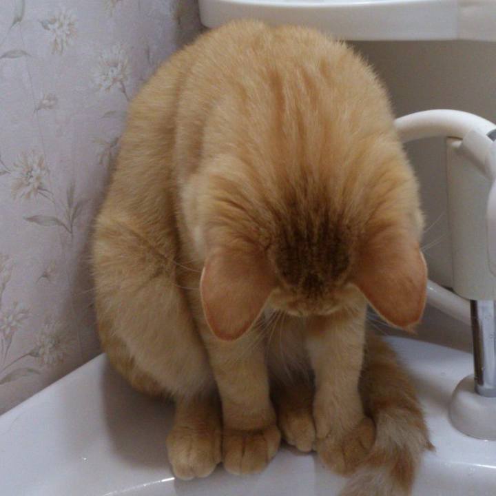 1eda577f 11ee 41ca 850c 8798385c34fb 1615768885316