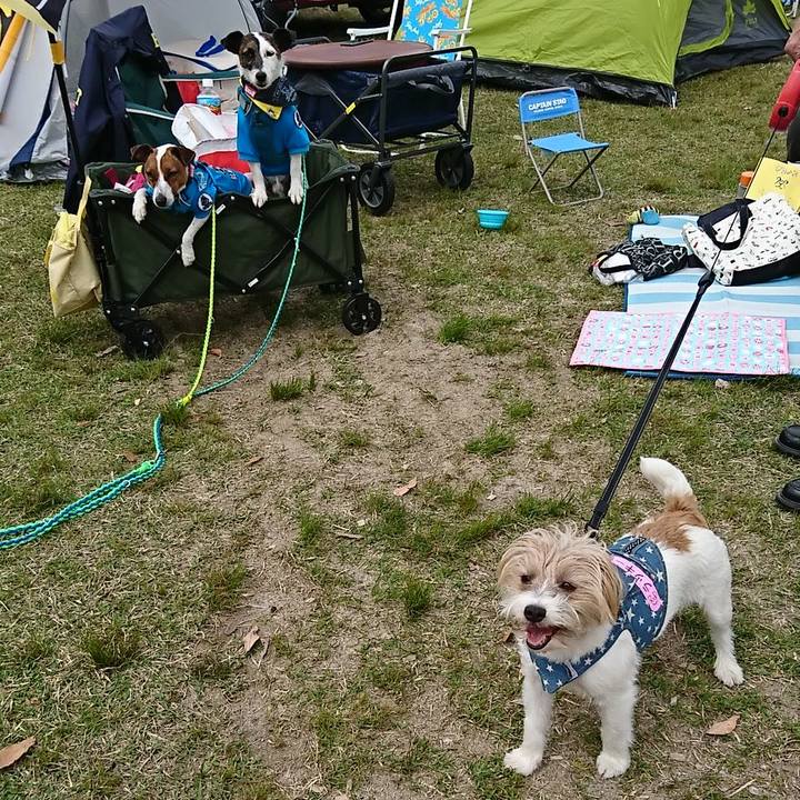 1eda6f39 0452 4035 b2ce 2037c75b1787 1555841351711